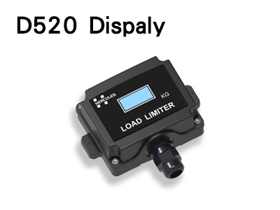 D520 Dispaly
